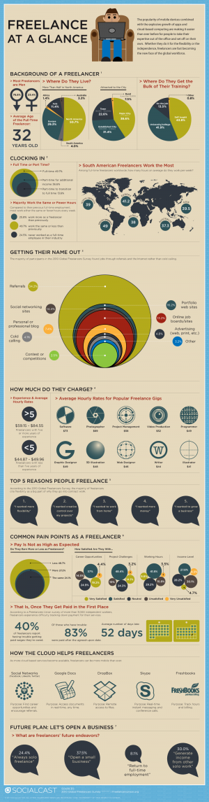 Freelancer Infographic